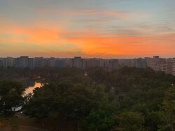 Blk 530 Pasir Ris Drive 1 (Pasir Ris), HDB Executive #556334991